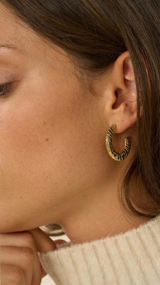 Créoles Colombe Dorées